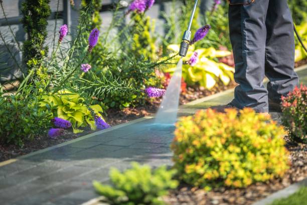 Trusted Metamora, IL Pressure Washing Services Experts