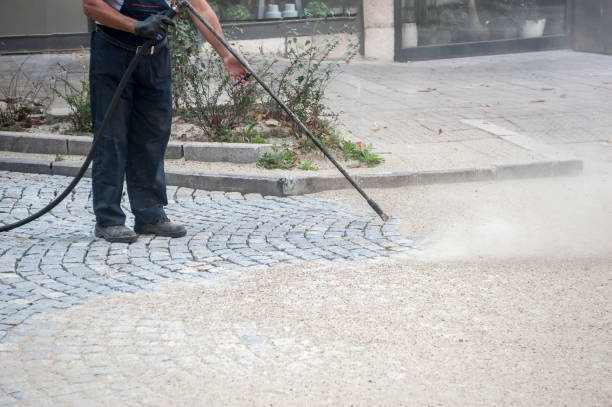 Best Driveway Cleaning and Restoration in Metamora, IL